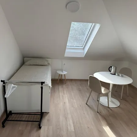 Citybase Проживание в семье